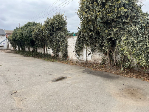 Arriendo Local Comercial Sector Céntrico Y Urbano Quillota