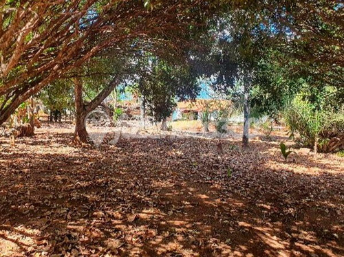Imagem 12 de 12 de Rural Chacara Com 3 Quartos - 335-v