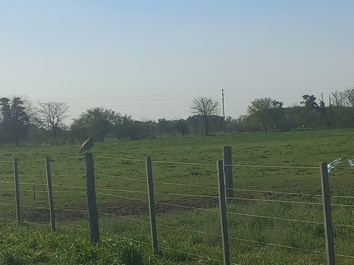 Pre Venta De Lotes En BÂș La Carolina, General Las Heras