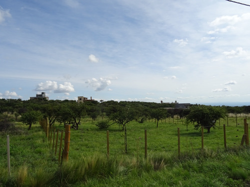Lote 1600 Mts En Aguas Blancas - Cortaderas