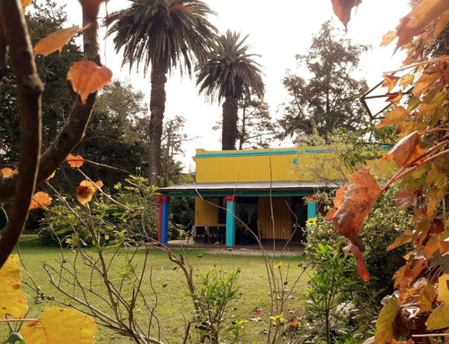 Imagen 1 de 15 de Dueñ@ Vende Casa Quinta Con Pileta / Chascomús. Estilo Campo ( Video En La Ultima Foto)