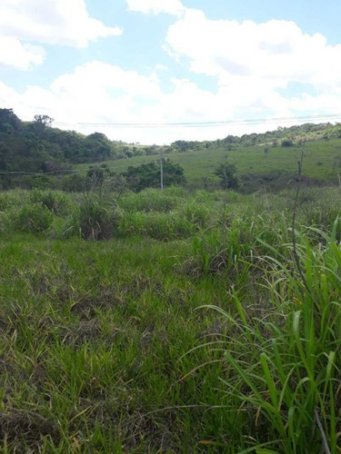 Imagem 18 de 27 de Sitio Campinas Antes Do Pedagio De Jaquariuna 46 Hectares - 42655