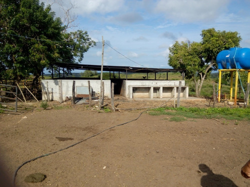 Imagen 17 de 27 de Se Vende Finca En Caicara De Maturin Sec Bajo Gde Ve02-1143cai-mtru