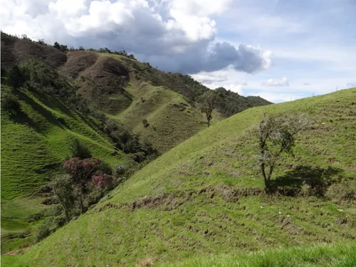 Finca En Venta La Unión Via Abejorral Antioquia. 83 Hectareas