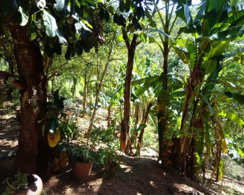 Imagem 9 de 21 de Chácara À Venda,5000.00 M², Bairro Da Pernambucana, Sao Jose Dos Campos - Sp - 2234