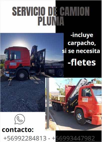 Servicio De Camión Pluma Y Fletes
