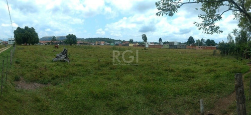 Terreno Em Hípica - El56356254