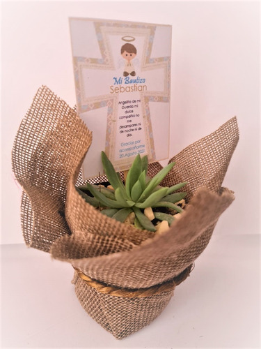 Imagen 2 de 7 de Recuerdos Bautizo 30 Plantas Suculentas Decoradas