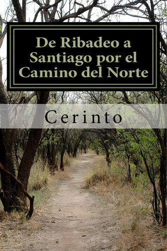 De Ribadeo A Santiago Por El Camino Del Norte, De Cerinto. Editorial Createspace, Tapa Blanda En Español