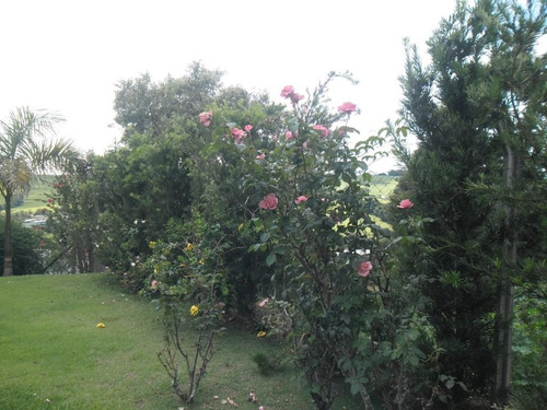 Chácara - Jardim Leonor - Ch0076