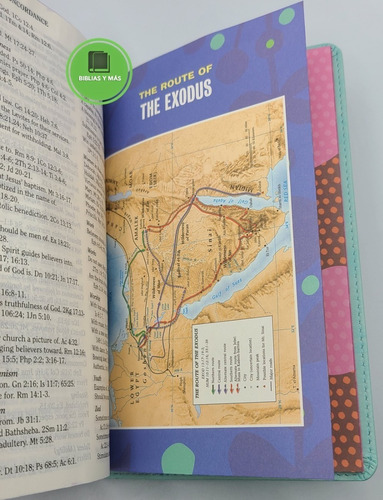 Imagen 7 de 9 de Biblia De Estudio Infantil En Ingles- Hcb Study Bible 4 Kids