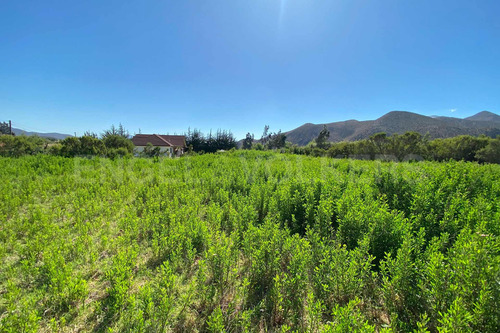 Imagen 3 de 12 de Se Vende Terreno En Fundo La Calera Vicuña