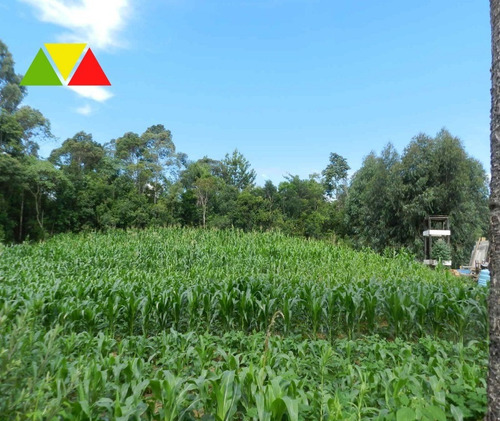 Imagem 8 de 25 de Chacara - Ch00139 - 69025039