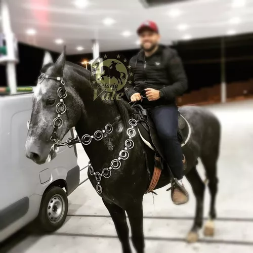 Traia De Frente Para Cavalos E Muares Completinha Luxo