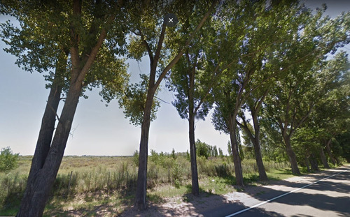 Terreno De 10 Has En San Rafael - Mendoza - La Llave