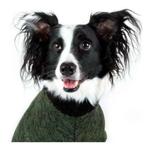 Imagen 3 de 8 de Abrigos Buzos Poleras Ropa Para Perros Grandes Neigers
