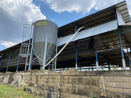 Imagen 4 de 14 de Granja En Venta En Valencia