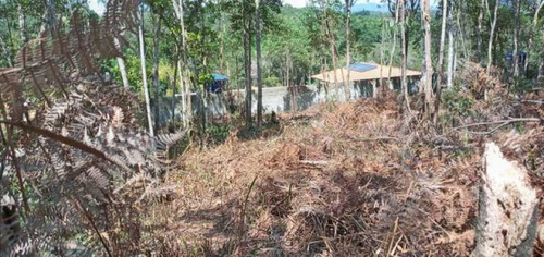 Imagem 10 de 15 de Lindo Lote - Bilt00168
