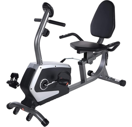 Bicicleta Sunny Health & Fitness Reclinable Y Magnética