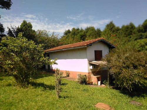 Imagem 8 de 9 de Linda Chácara De 2846mts2 Cod 368