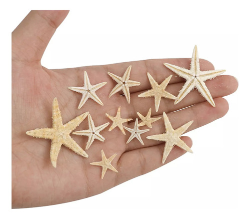 Decoración De Estrella De Mar Natural For 1-5cm 100 Pieces