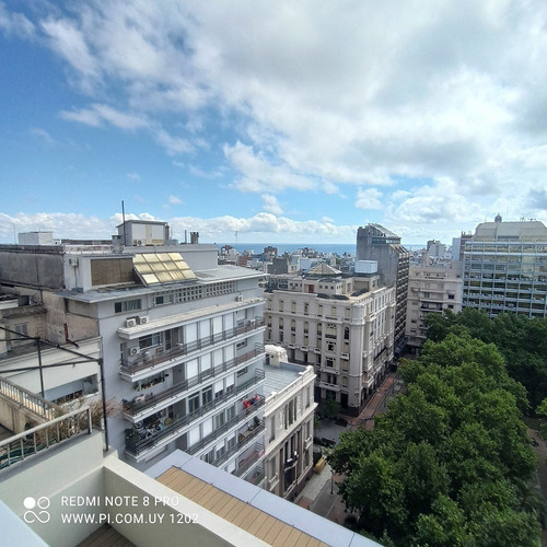 Imagen 12 de 14 de Venta Apartamento Con Renta, Centro, 2 Dormitorios, Amueblado.