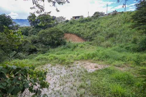 Lote En Venta En Vereda La Meseta. Cod V12861