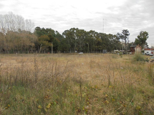 Terreno En Venta En San Bernardo