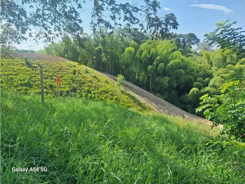 Venta Lotes En Quimbaya -quindío Colombia Cod: 7555717