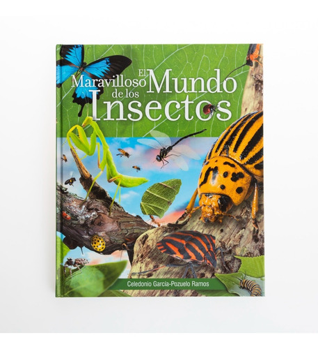 El Maravilloso Mundo De Los Insectos