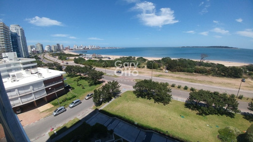 Imagen 7 de 23 de Primera Linea Al Mar.