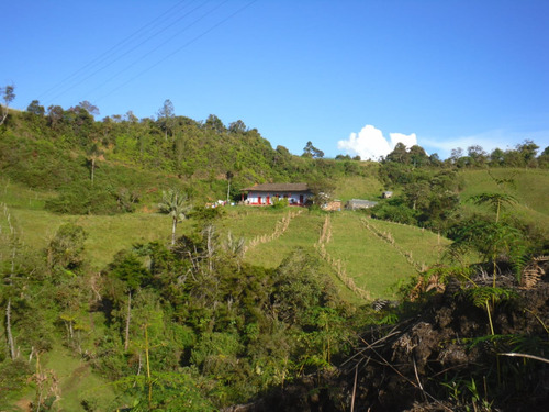 Linda Finca En Venta Santuario Apta Para Proyectos