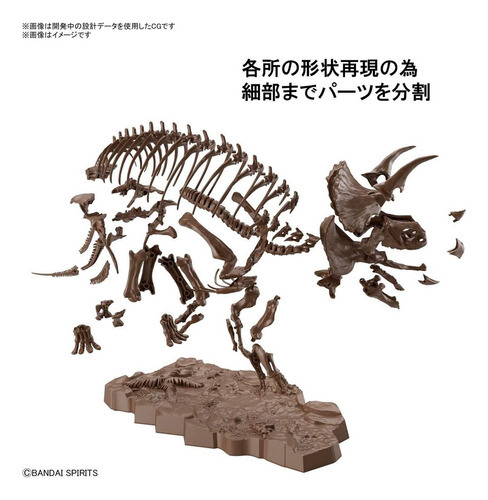 Bandai Hobby Dinosaurio Triceratops 1/32 Model Kit