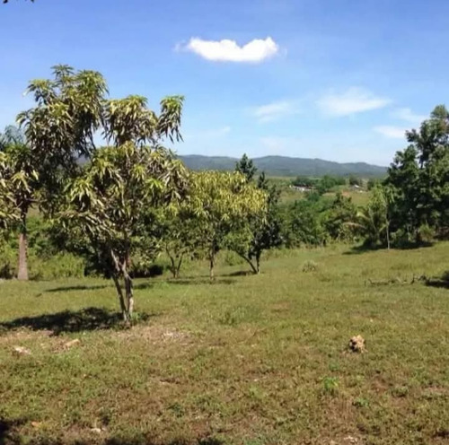 Solar Con 16,000 Mts2 Próximo Al Merca Santo Domingo