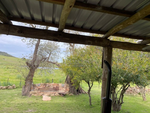 Imagen 8 de 12 de Campo Con Casa En Pueblo Eden - Pueblo Eden