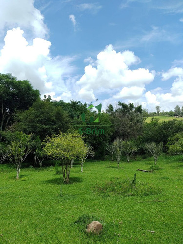 Imagem 12 de 15 de Terreno De 6.000m² - Boa Vista - 727