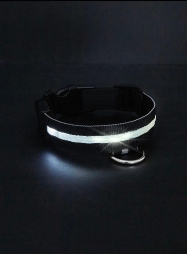 Collar Para Perro Gato Con Hebilla Luz Led Batería
