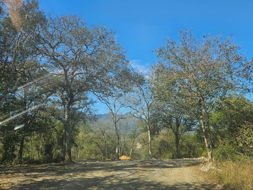 Venta De Terreno En Montemorelos