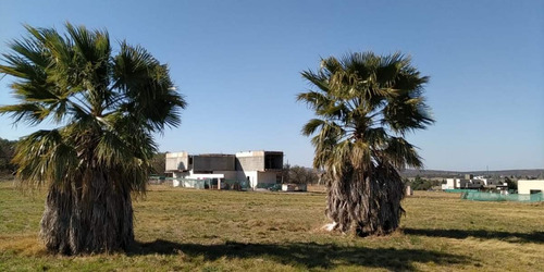 Imagen 6 de 7 de Venta Lote En Valle Del Golf
