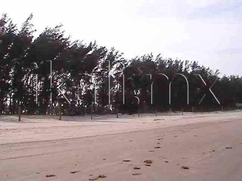 Venta Terreno Playa Hectáreas Tuxpan Veracruz
