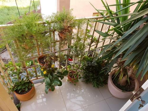 Imagem 10 de 10 de Apartamentos - Ref: V8688