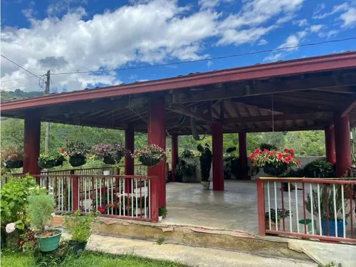 Finca Cafetera En Venta En Andes - Antioquia