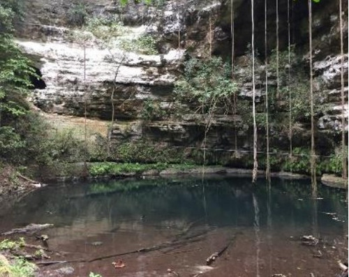 Terreno Turistico Con Cenote Cerca De Valladolid