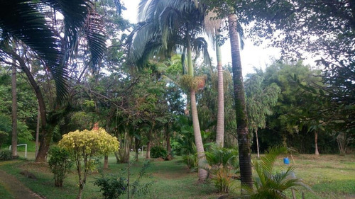 Chácara Residencial Ou Comercial Com 10.080 M² Para A Venda No Joapiranga - Valinhos/sp - Ch0002