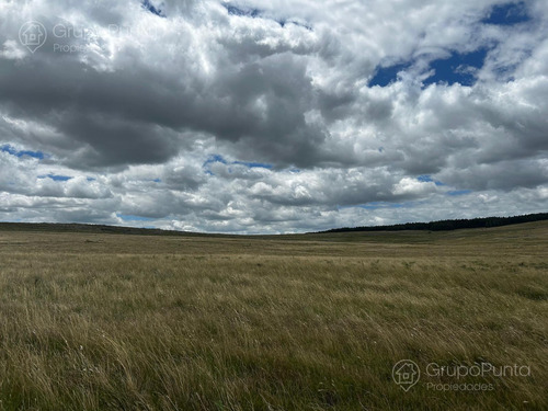 Campo En Venta - Rocha