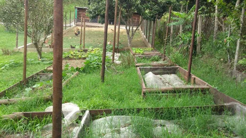 Imagem 10 de 14 de Lindo Sitio Para Renda Formado Ref 1211