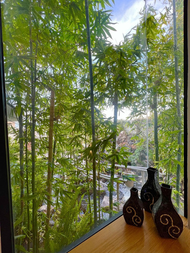 La Residencia Mas Woow De Todo Zibata Con Cascada, Alberca! Unica E Inigualable
