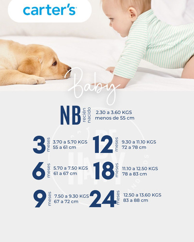 Bodys X 4 Carters Varón Nb A 24 Meses Dinosaurio 12-18 M