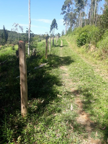 Imagem 4 de 18 de Terreno - 407 - 69476279