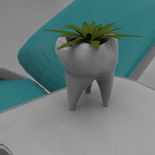 Vaso Decorativo Suculentas Cactus Dente Odontologia Odonto Cor Branco